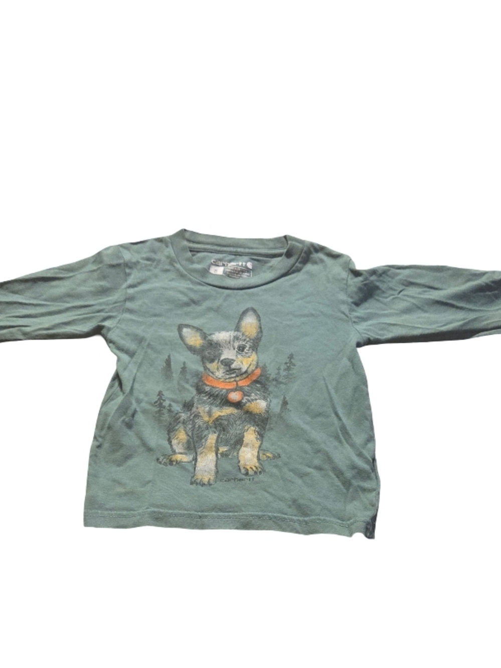 Carhartt Kids Long-Sleeve Tee in Sage Green with Puppy Graphic